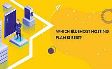 MSD-bluehost-plan